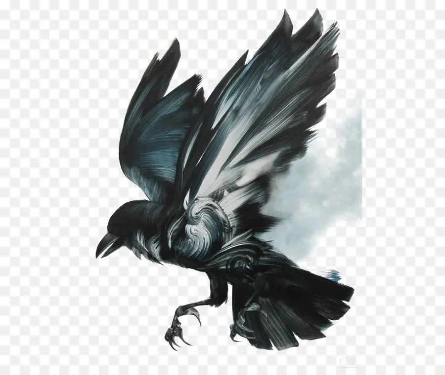 Raven Común，Cuadro PNG