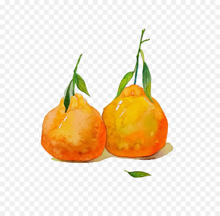 Naranjas，Hojas PNG