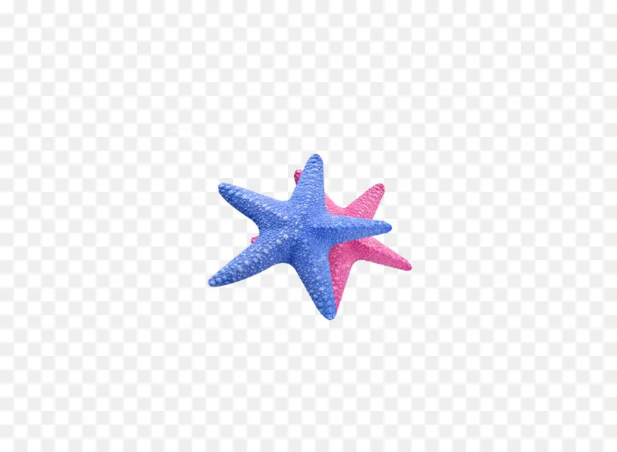 Estrella De Mar，Azul PNG