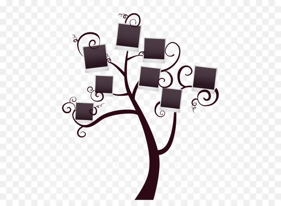La Familia Del árbol，Genealogía PNG