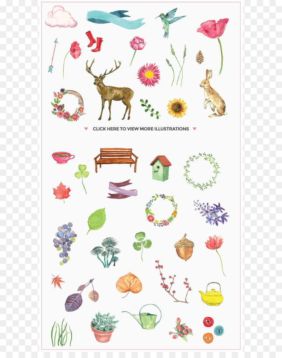 Varias Ilustraciones，Naturaleza PNG