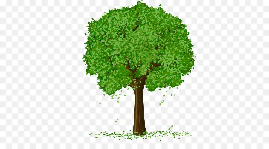 árbol Verde，Árbol PNG