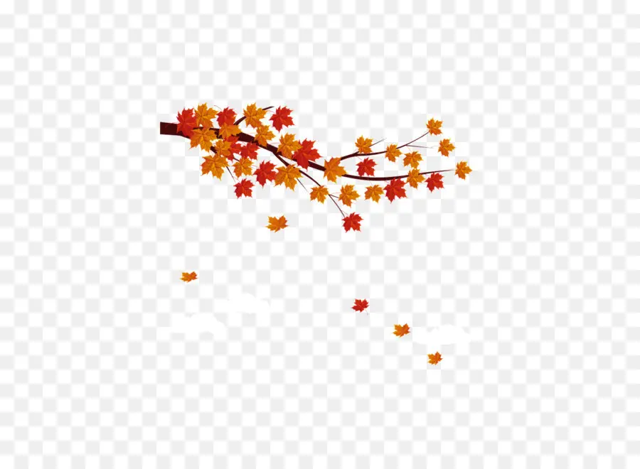 Hojas De Otoño，Árbol PNG