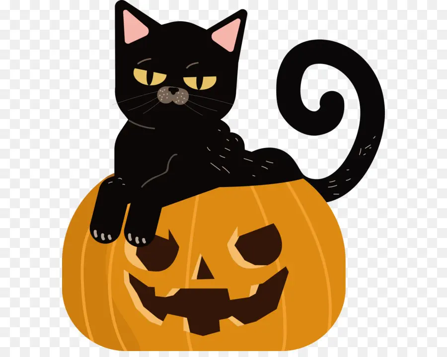 Gato，Gatito PNG