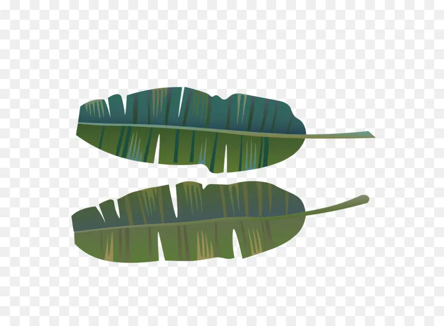 Hoja，Vector PNG