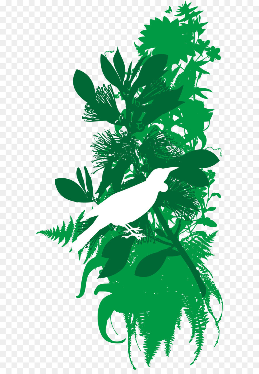 Verde，Planta PNG