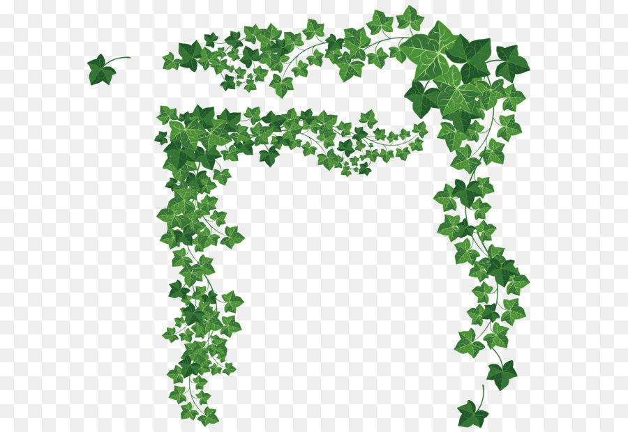 Verde，Planta PNG