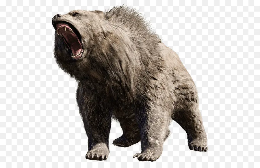 Far Cry Primal，Far Cry 5 PNG