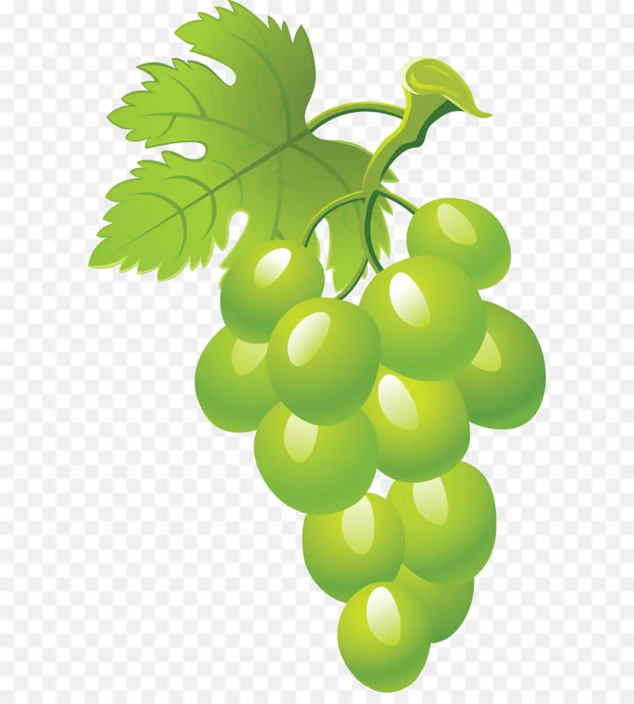 Uvas，Enredadera PNG