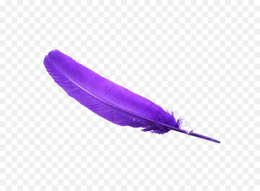 Pluma Morada，Suave PNG