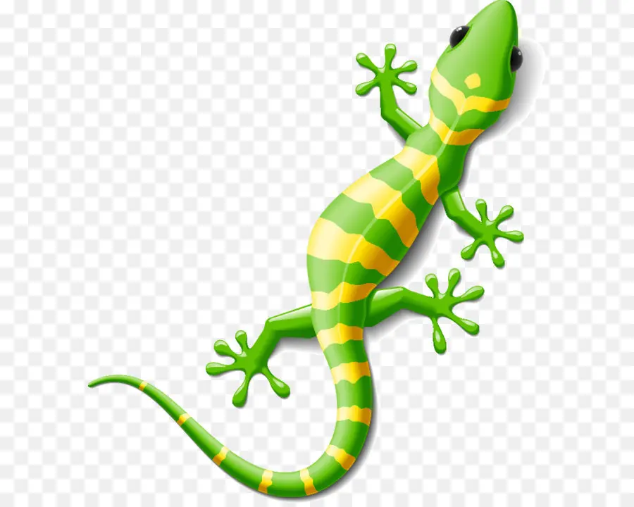 Lagarto，Geco PNG