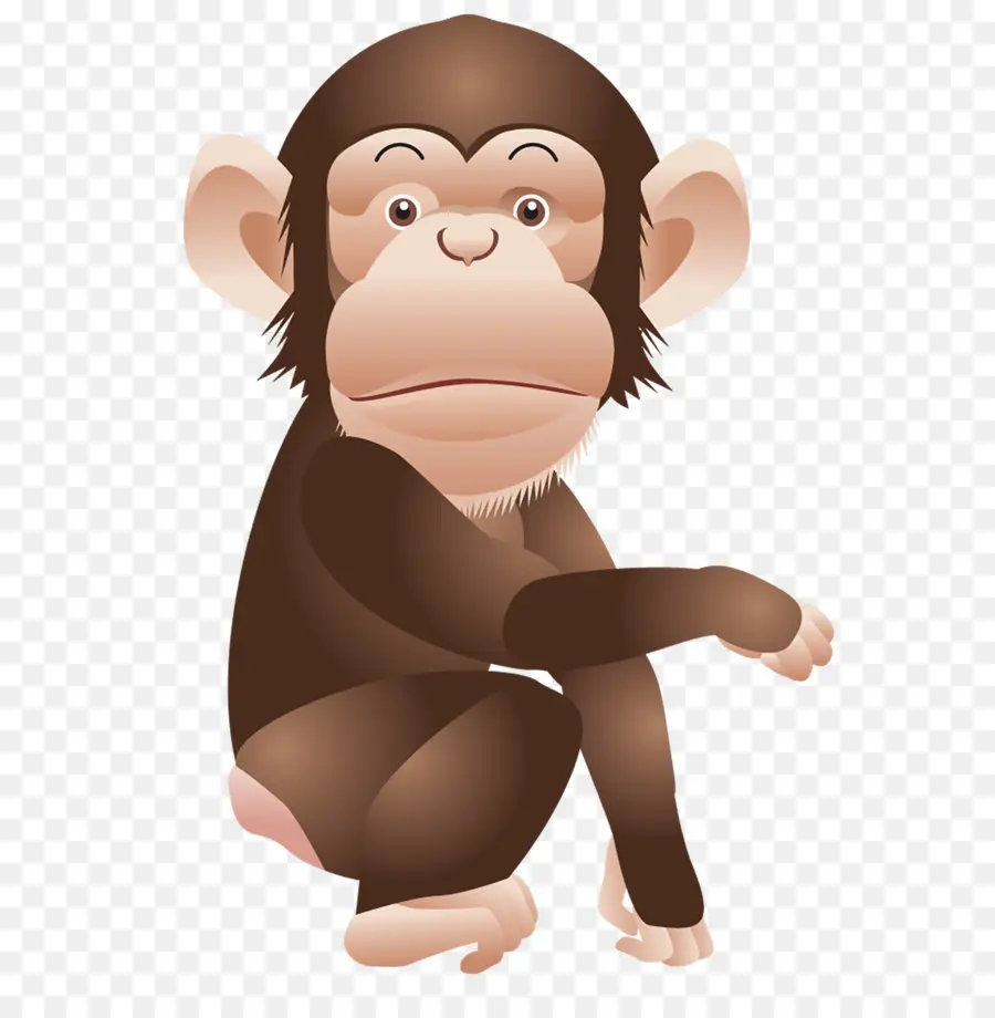 Mono，Chimpancé PNG