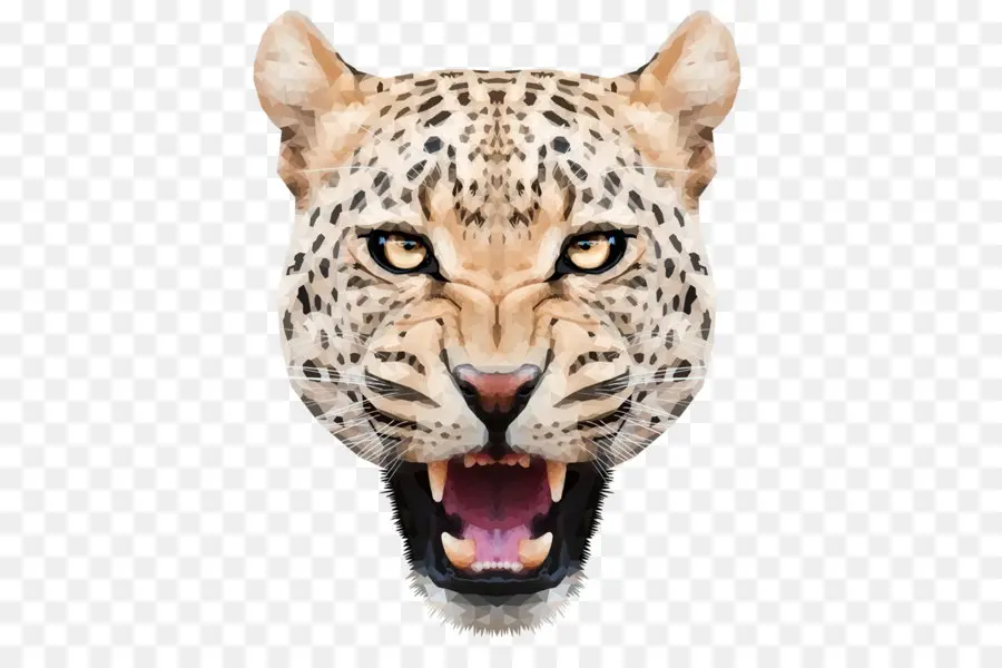 Leopardo，Guepardo PNG