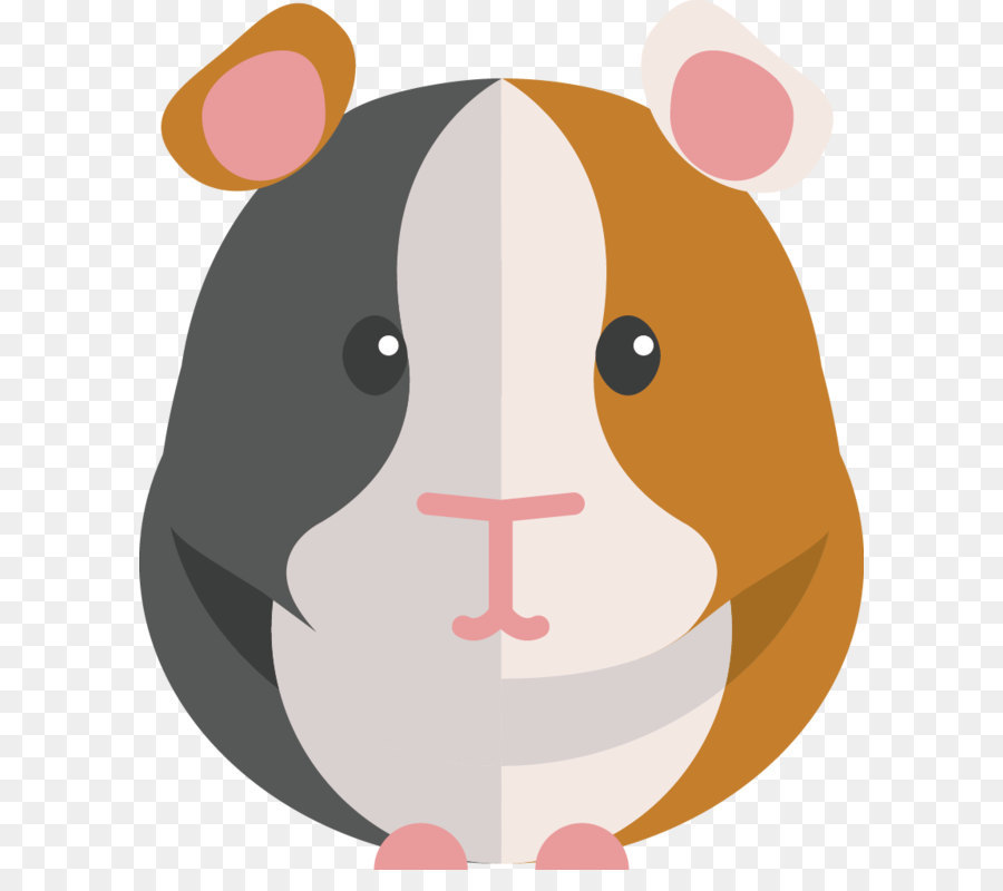 Conejillo De Indias，Mascota PNG