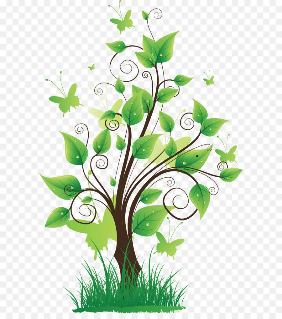 La Naturaleza，Árbol PNG