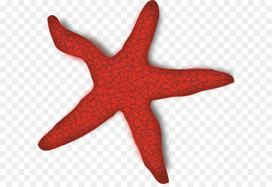 Estrella De Mar Roja，Marina PNG