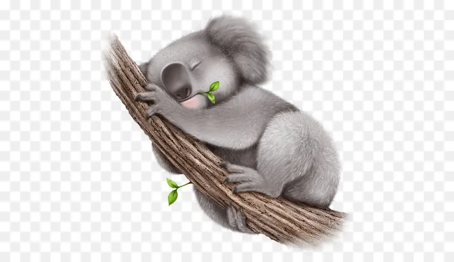 Koala，La Lindura PNG