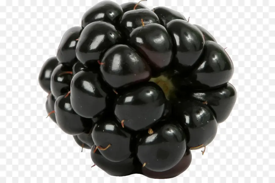 Blackberry，La Fruta PNG