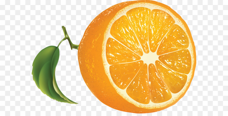 Rodaja De Naranja，Agrios PNG