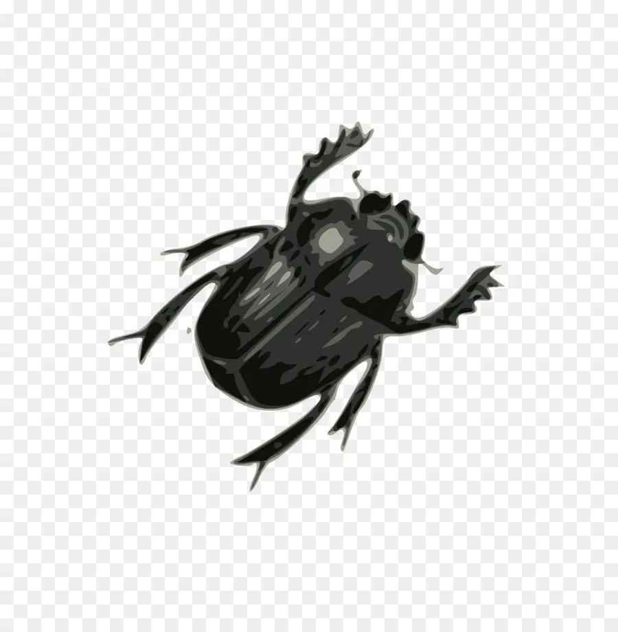 Escarabajo，Los Beatles PNG