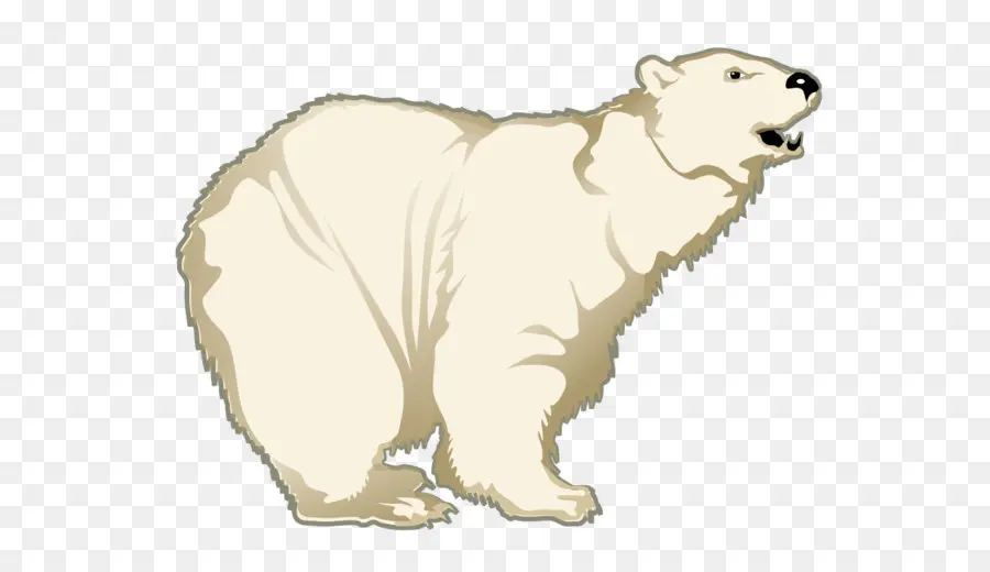 Gran Pirineos，Polar Bear PNG