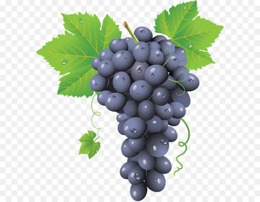 Común De Uva De La Vid，Vino PNG