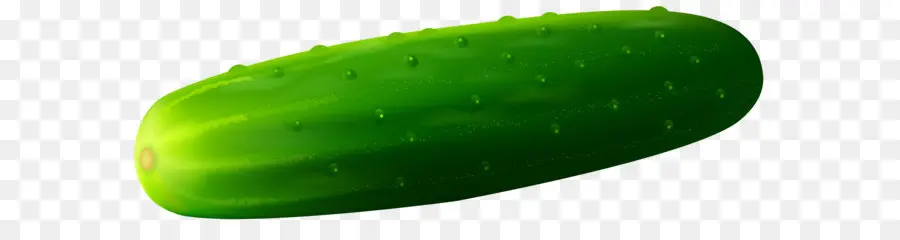 Pepino，Encurtido De Pepino PNG