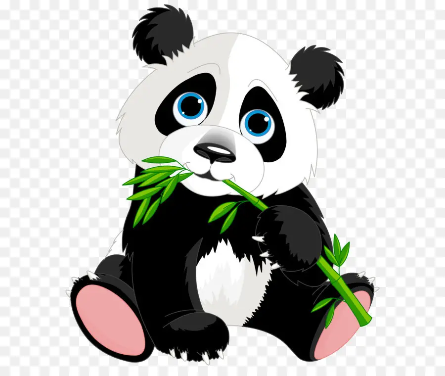 Gigante Panda，Rojo Panda PNG