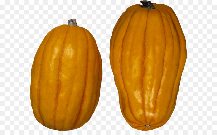 Calabaza Bellota，Verde PNG