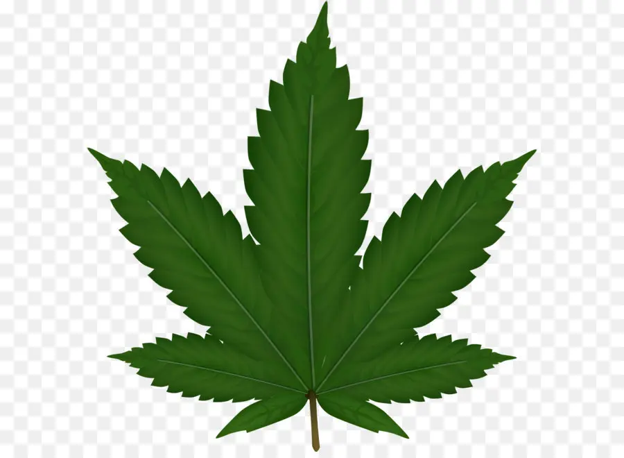 El Cannabis，Hoja PNG