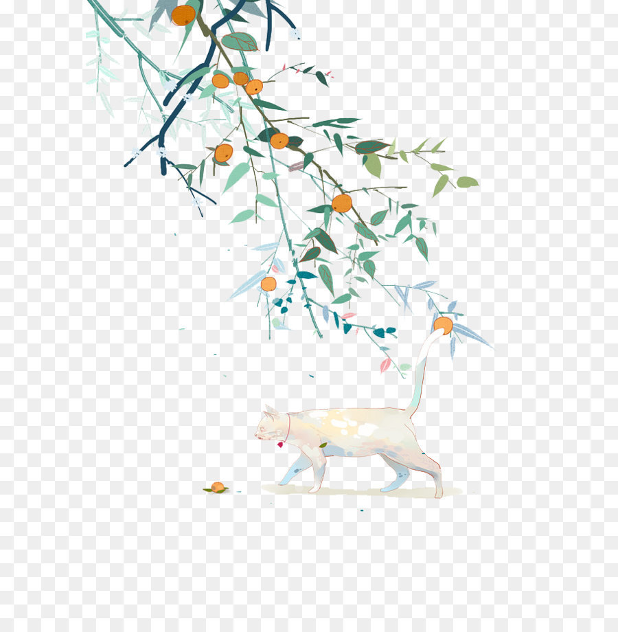 Gato Blanco，Naturaleza PNG