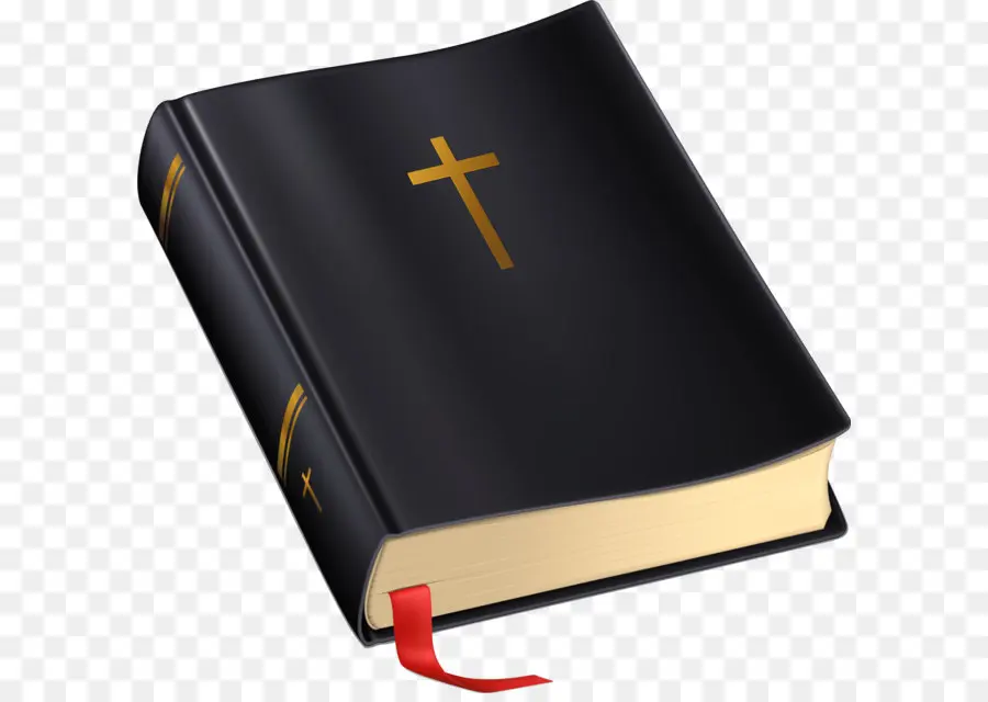 Biblia，Nueva Versión Internacional PNG