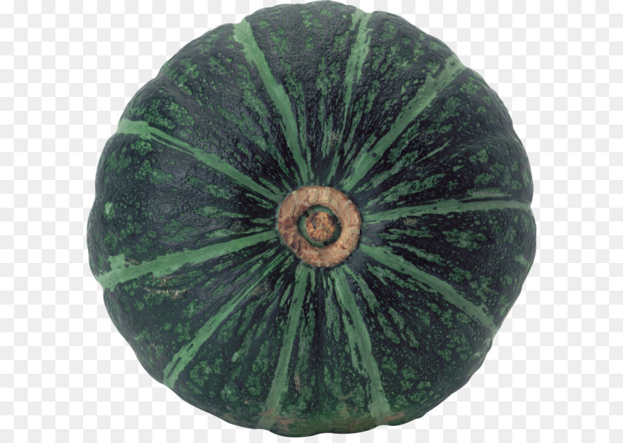 Invierno Squash， PNG