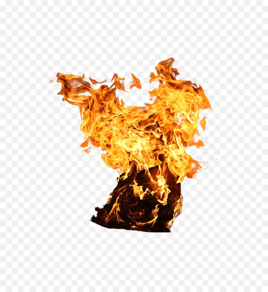 Fuego，Llama PNG