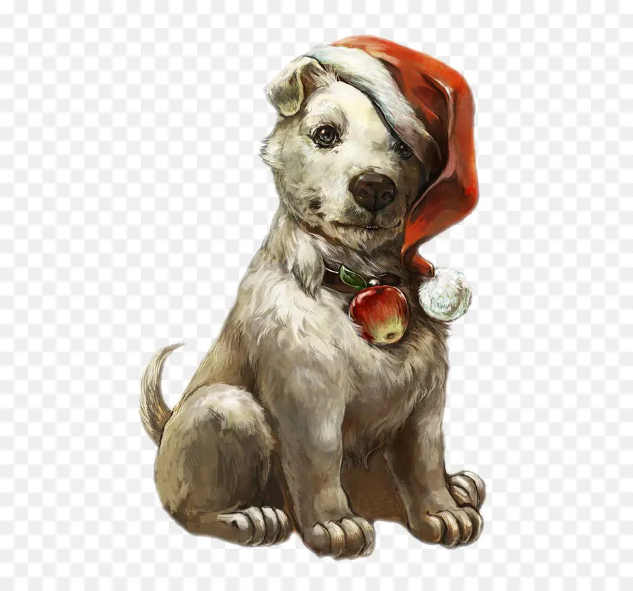 Perro Con Gorro De Papá Noel，Perro PNG