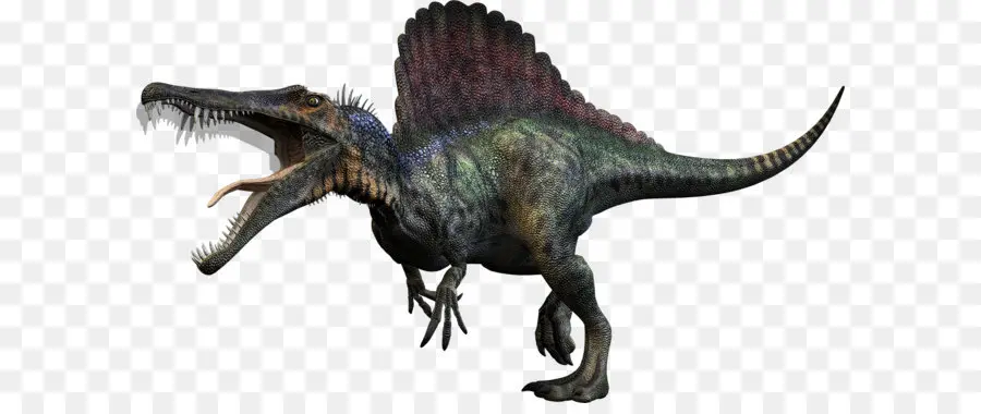 Carnívoros Dinosaur Hunter，Tyrannosaurus PNG