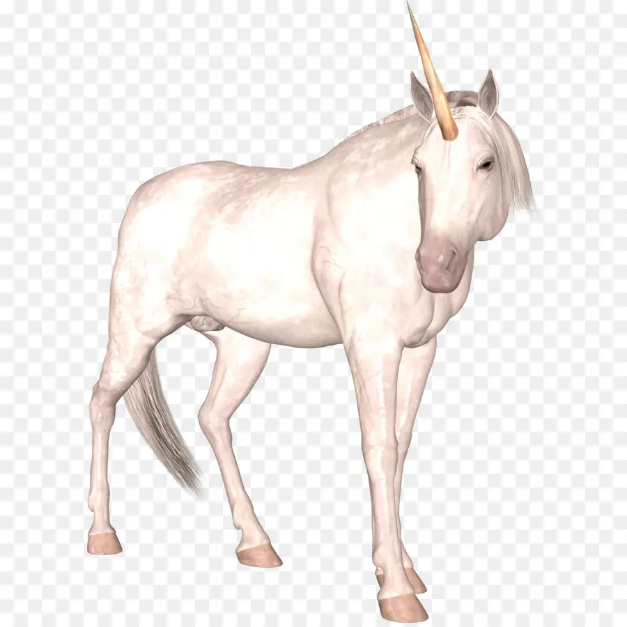 Unicornio Blanco，Mítico PNG