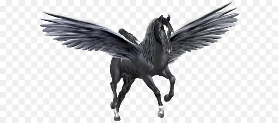 Pegaso Negro，Alas PNG