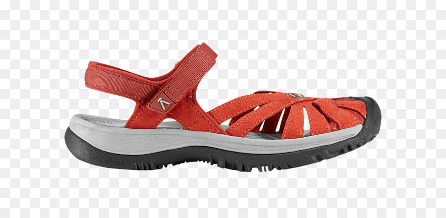 Zapatilla，Sandalia PNG