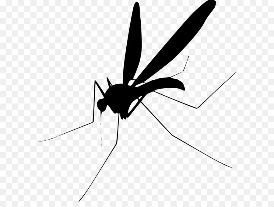 Mosquito，Equipo Iconos PNG