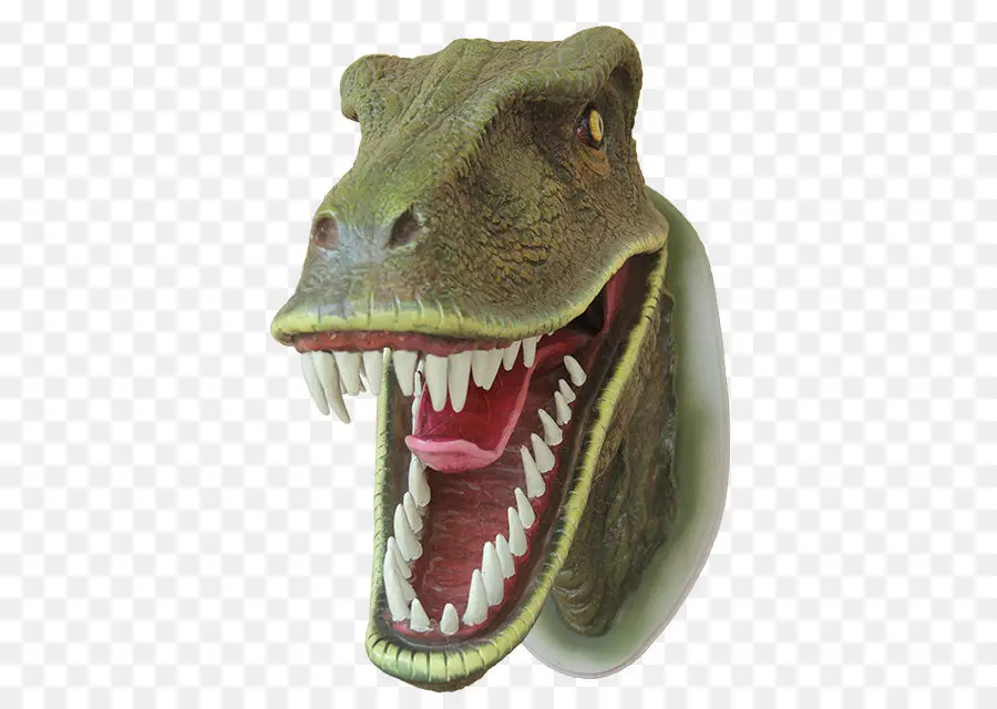 Cabeza De Dinosaurio，Tiranosaurio Rex PNG