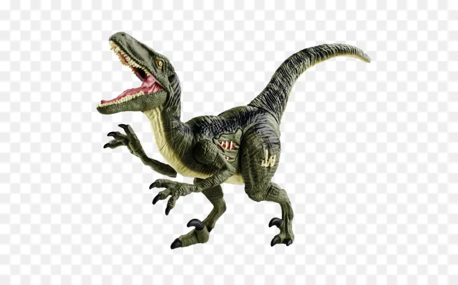 Tyrannosaurus，Velociraptor PNG