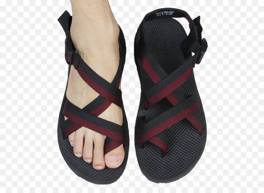 Sandalia，Flip Flops PNG