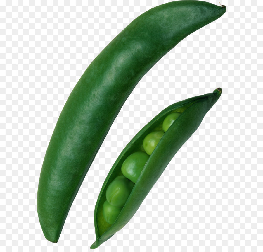 Común Bean，Nieve Pea PNG