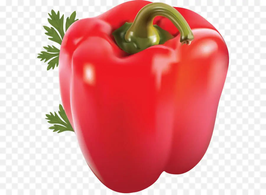 Pimiento，Chile Con Carne PNG