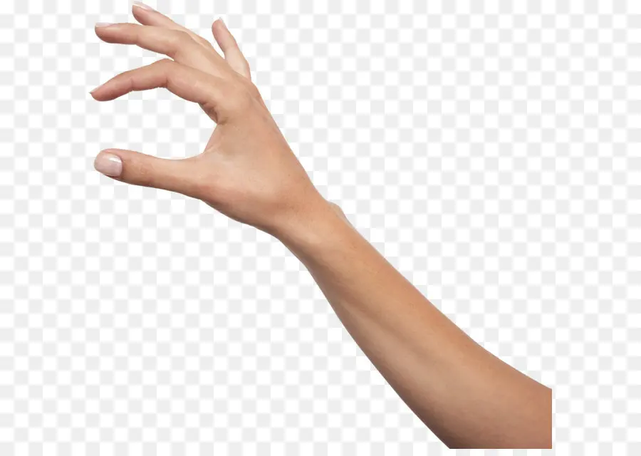 De La Mano，Dedo PNG