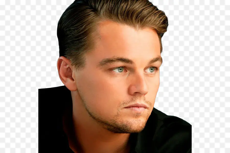 Leonardo Dicaprio，Hollywood PNG