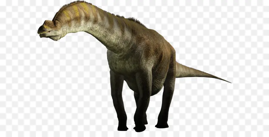 Argentinosaurus，Dinosaurio De Tamaño PNG