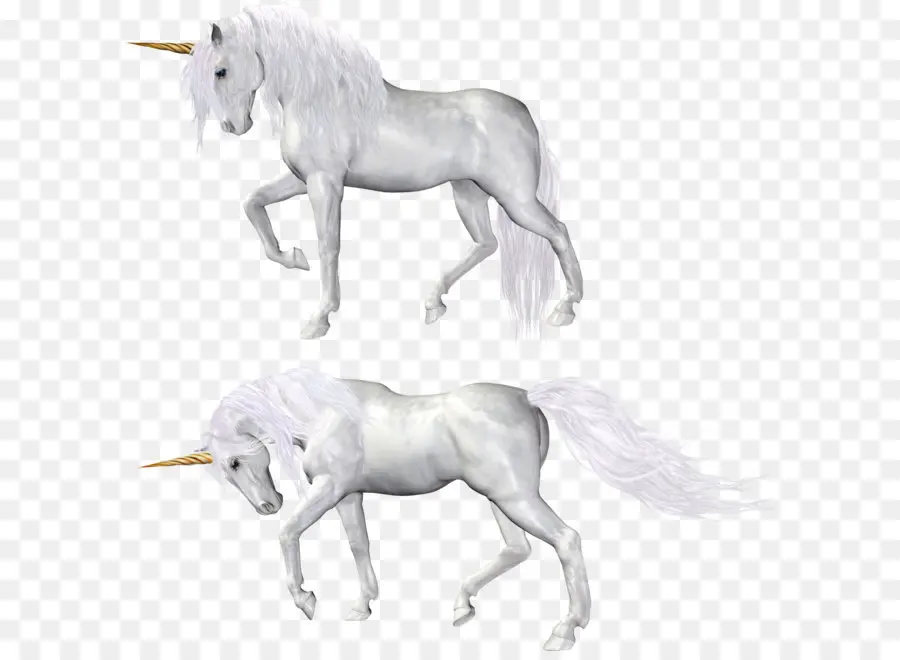 Unicornio，Imagen Resolución PNG