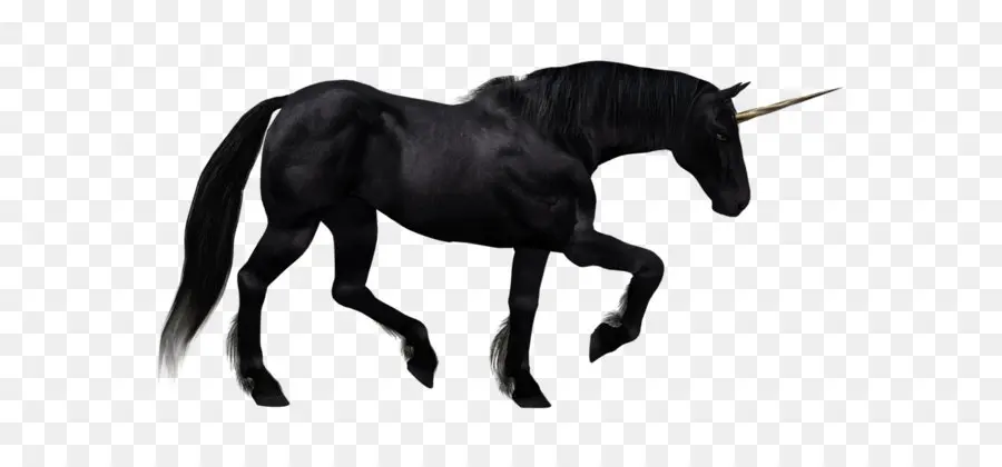 Friesian Caballo，Unicornio PNG